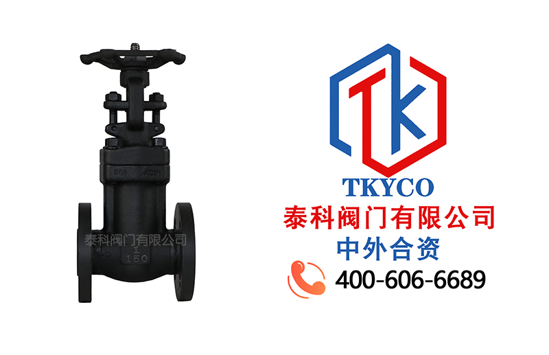 1746497238959082.jpg WCB鍛鋼波紋管截止閥拼圖.jpg