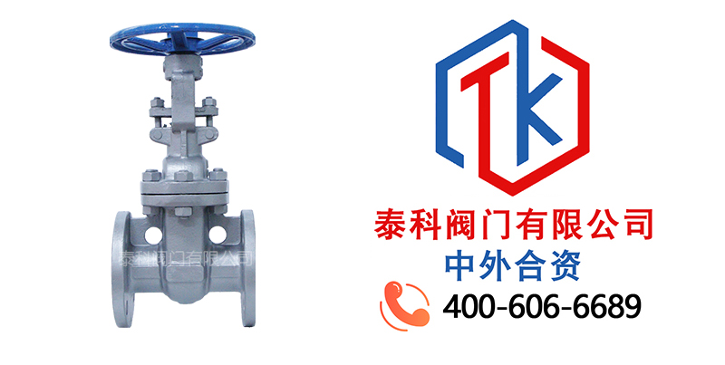 1764639693201656.jpg 鑄鋼法蘭閘閥拼圖.jpg